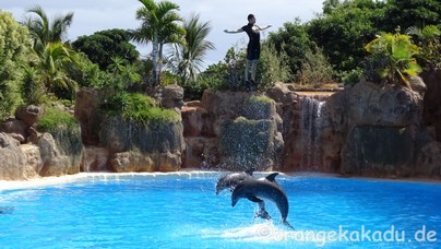 LoroParque2017-42.jpg