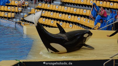 LoroParque2015 (8).JPG