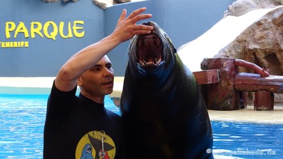 LoroParque2016 (17).jpg