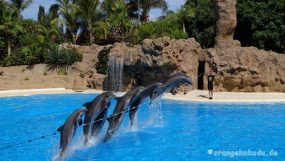 LoroParque2016 (21).jpg