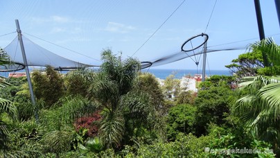 LoroParque2016 (53).jpg